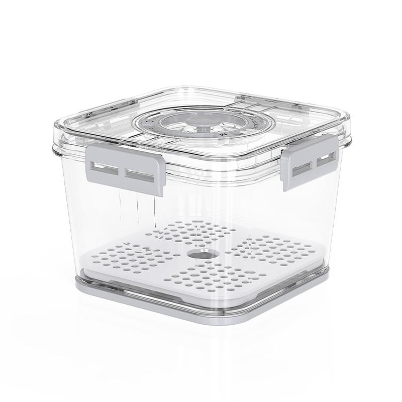 Orgwiser nhỏ nhựa có thể nhìn thấy có thể nhìn thấy bộ lưu trữ thời gian